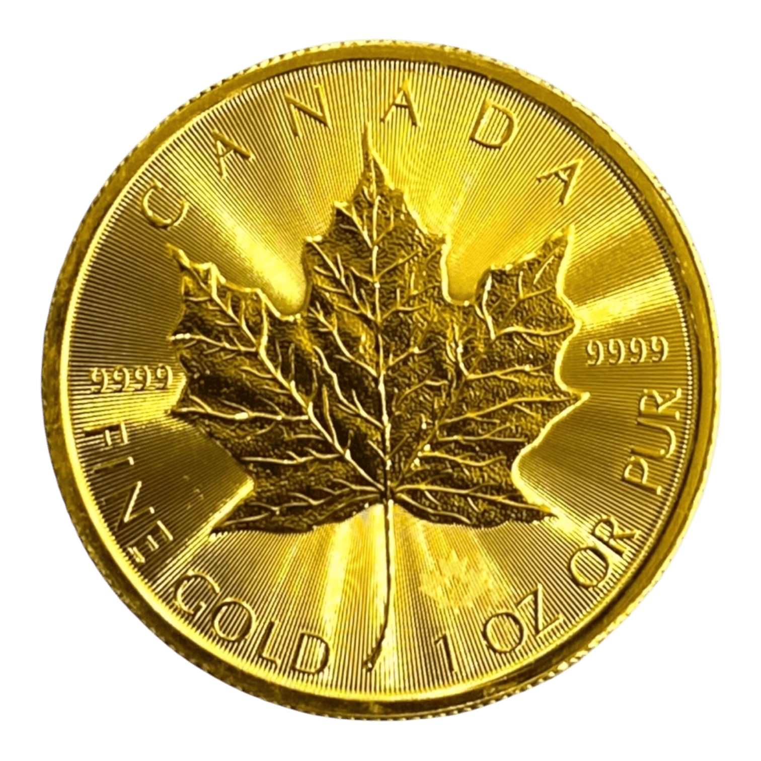 Maple Leaf 1 Once Or Fin – 50 Dollars Canada – Image 2