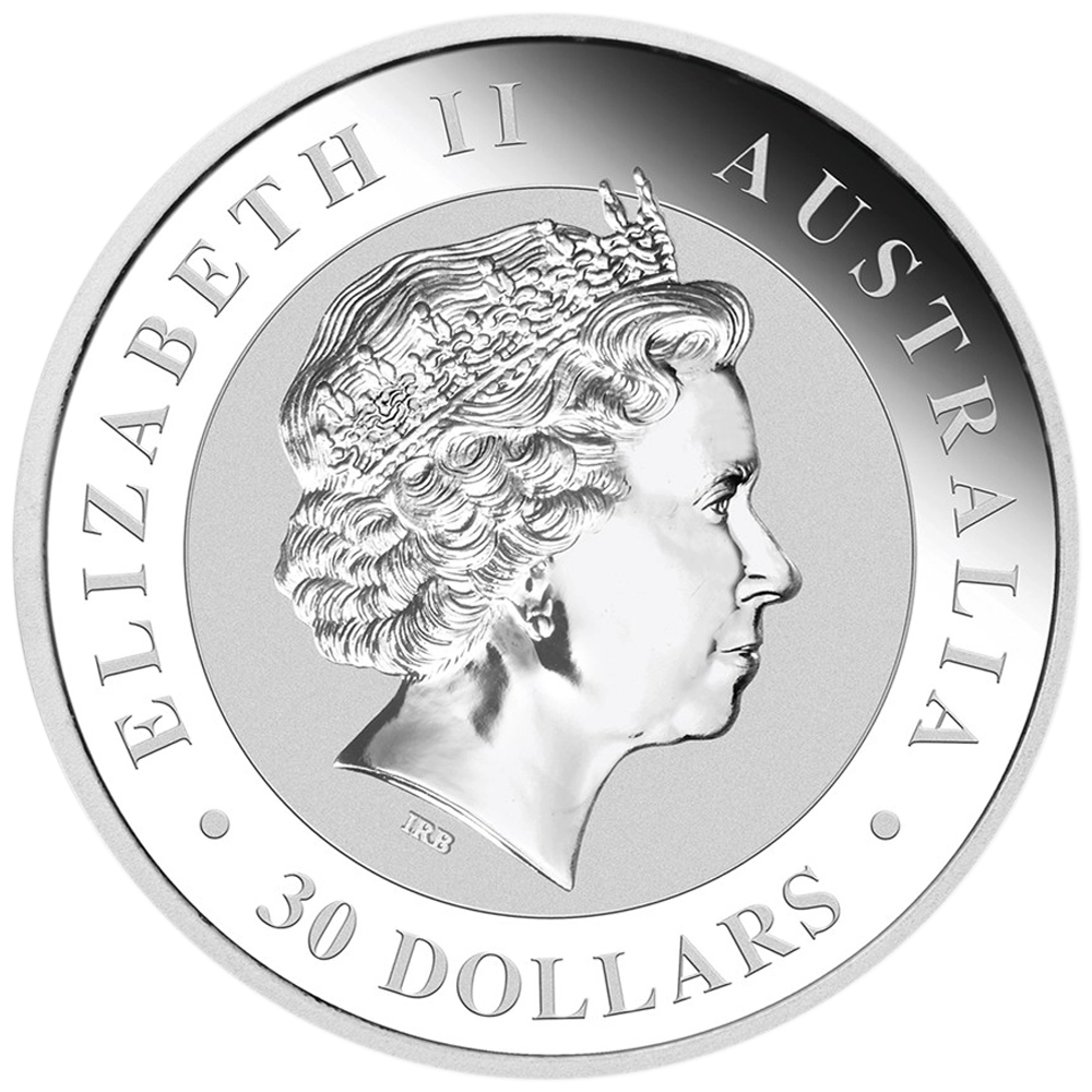1 KILO KOOKABURRA Argent fin